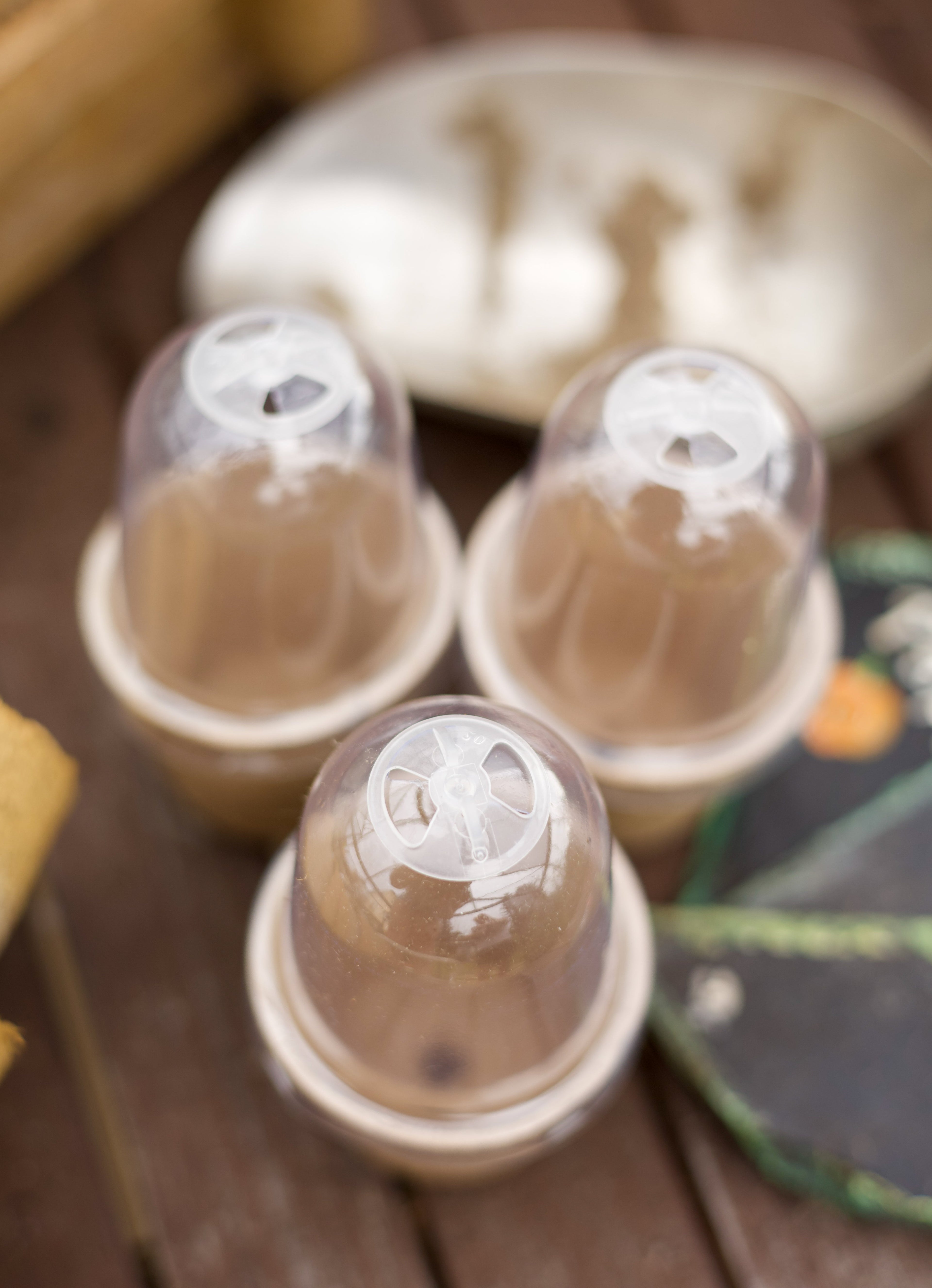 Kompostierbare Anzuchtstöpfe mit Belüftung