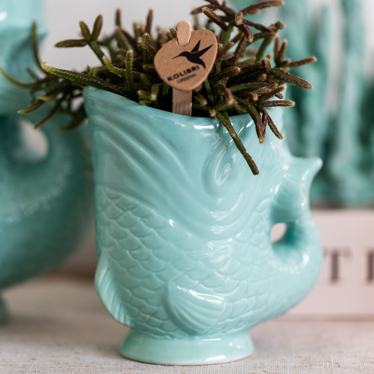 Fisch - Turquoise - Ø6cm