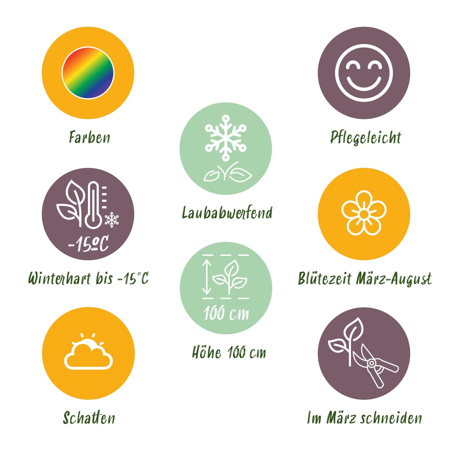 Stauden paket - Schatten - 8 Stauden - Für 1 m2 - Verschiedene Farben - Wenig Pflege - Topf 11cm