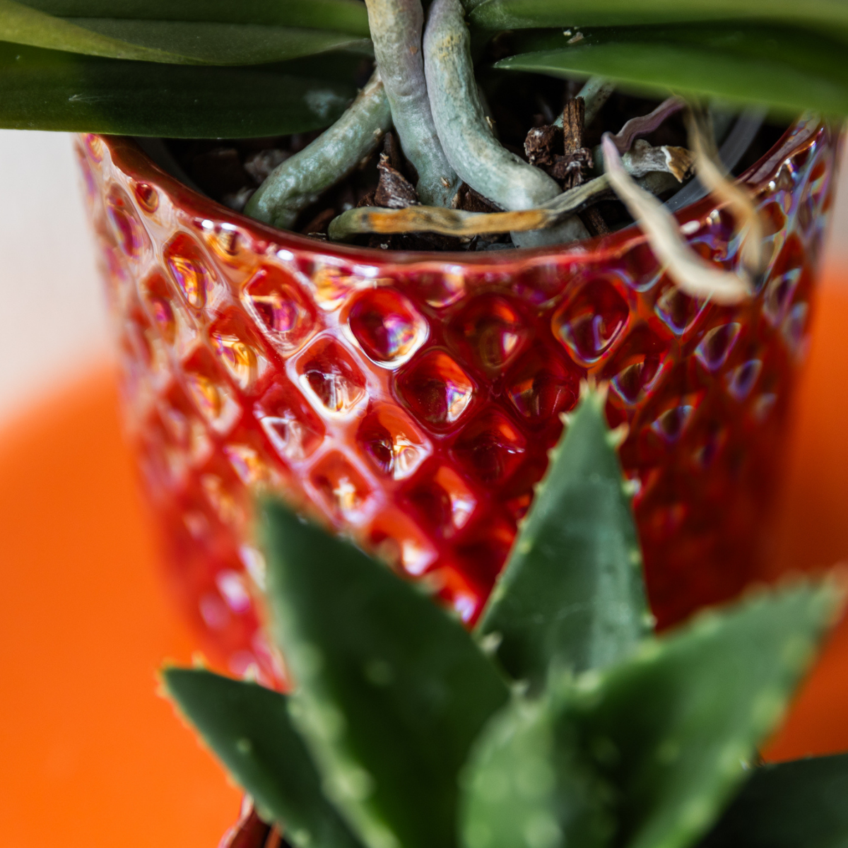 Diamond Pearl Dekotopf - Red - Ø9cm