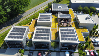 Plantile Dachbegrünung BioTop 16 Sedum-Sorten-Mix