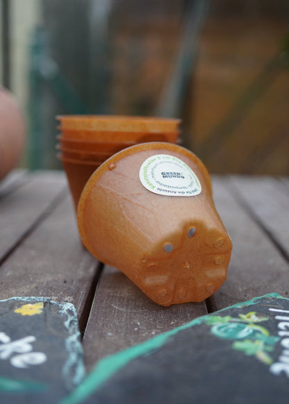 Bio-Pflanztopf - 6cm - plastikfrei