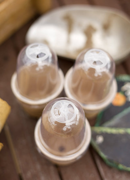 Kompostierbare Anzuchtstöpfe mit Belüftung