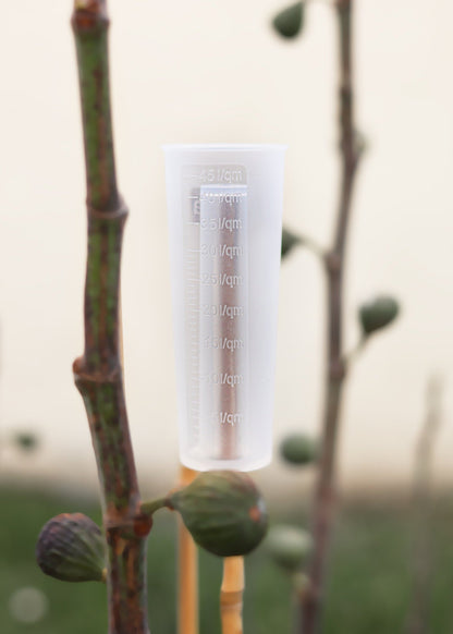 Forena - Regenmesser aus Silikon