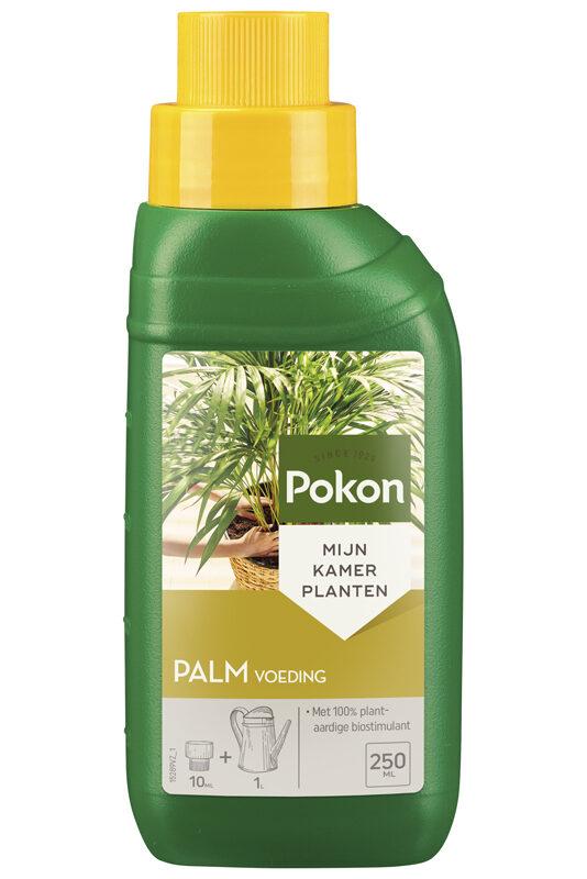 Pokon Palmen Pflanzennahrung 250 ml – Flüssigdünger für Zimmer- &amp; Kübelpalmen – Sattes Grün &amp; kräftige Wedel