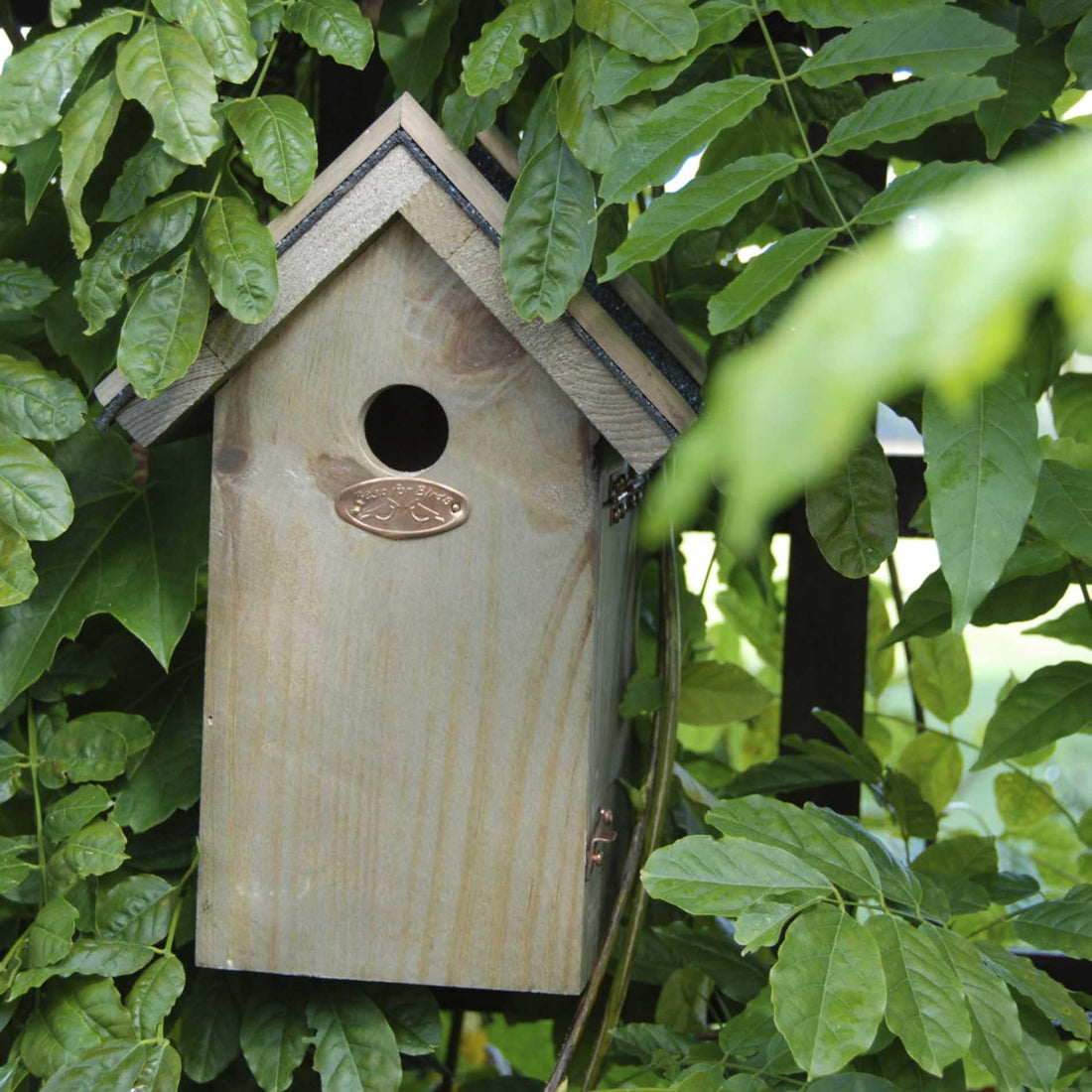 Blaumeisen-Vogelhaus mit Bitumendach | Nistkasten für kleine Meisen – wetterfest
