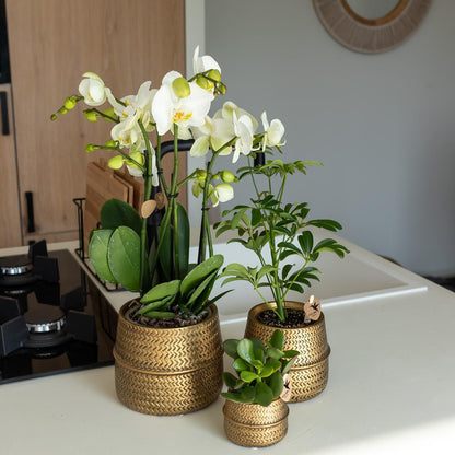 Groove Blumentopf - Goldener Keramik-Topf - Topfgröße - Ø6cm