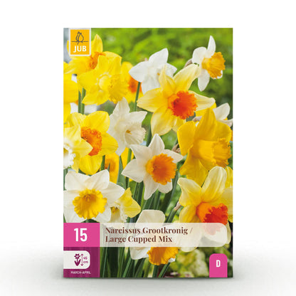 Blumenzwiebeln Narzisse Large Cupped Mix | 15 Stück Gelb &amp; Weiß – Zwiebelgröße 12/14 – XXL Pack