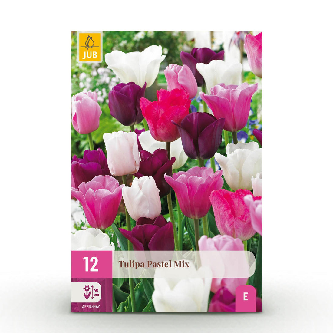 Tulpe Pastel Mix -  Verschiedene Farben - 12 Stück - Zwiebelgröße 11/12 - XXL Pack
