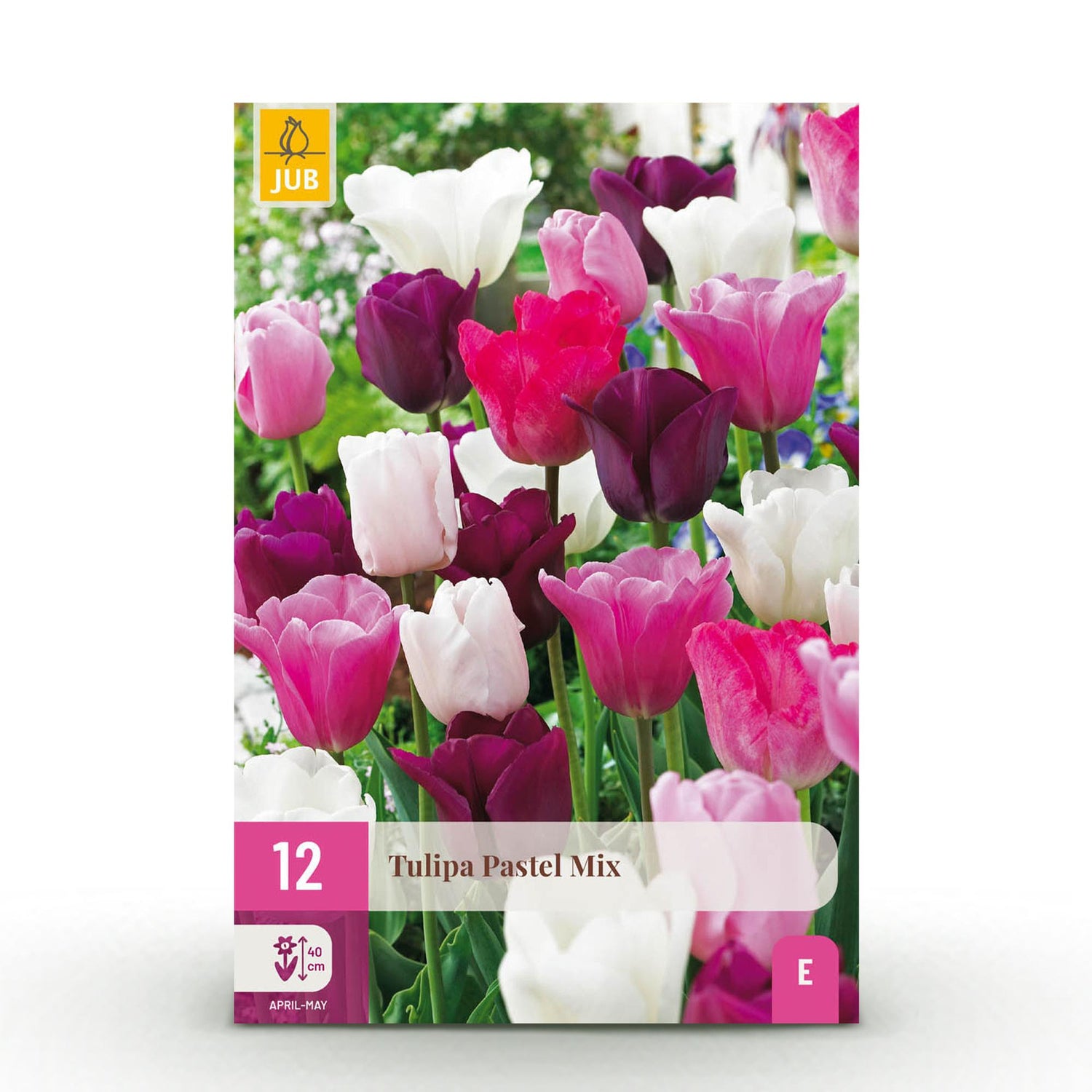 Tulpe Pastel Mix -  Verschiedene Farben - 12 Stück - Zwiebelgröße 11/12 - XXL Pack