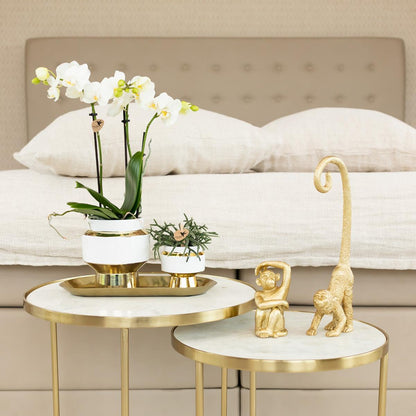 Ornament - Decoration sculpture Sitting Monkey - Gold