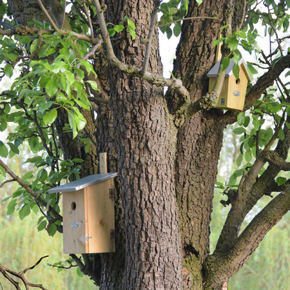 Beobachtungsnistkasten | Vogelhaus mit Sichtklappe – Vögel &amp; Gartentiere beobachten