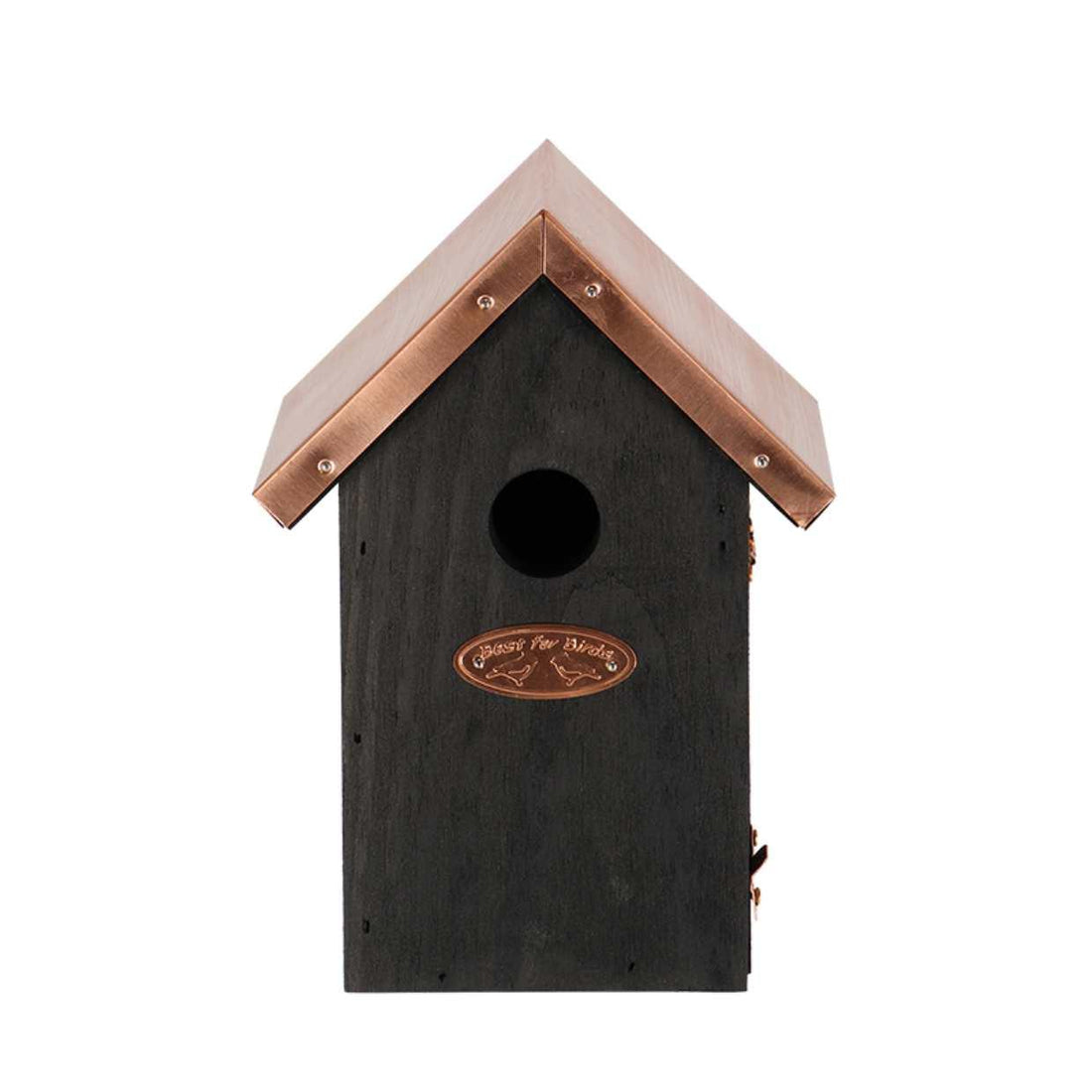 Vogelhaus Zaunkönig - Nistkasten Schwarzkupfer