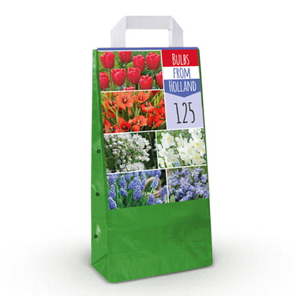 Blumenzwiebeln Bulbs From Holland | 125 Stück Farbenmix – Geschenkverpackung