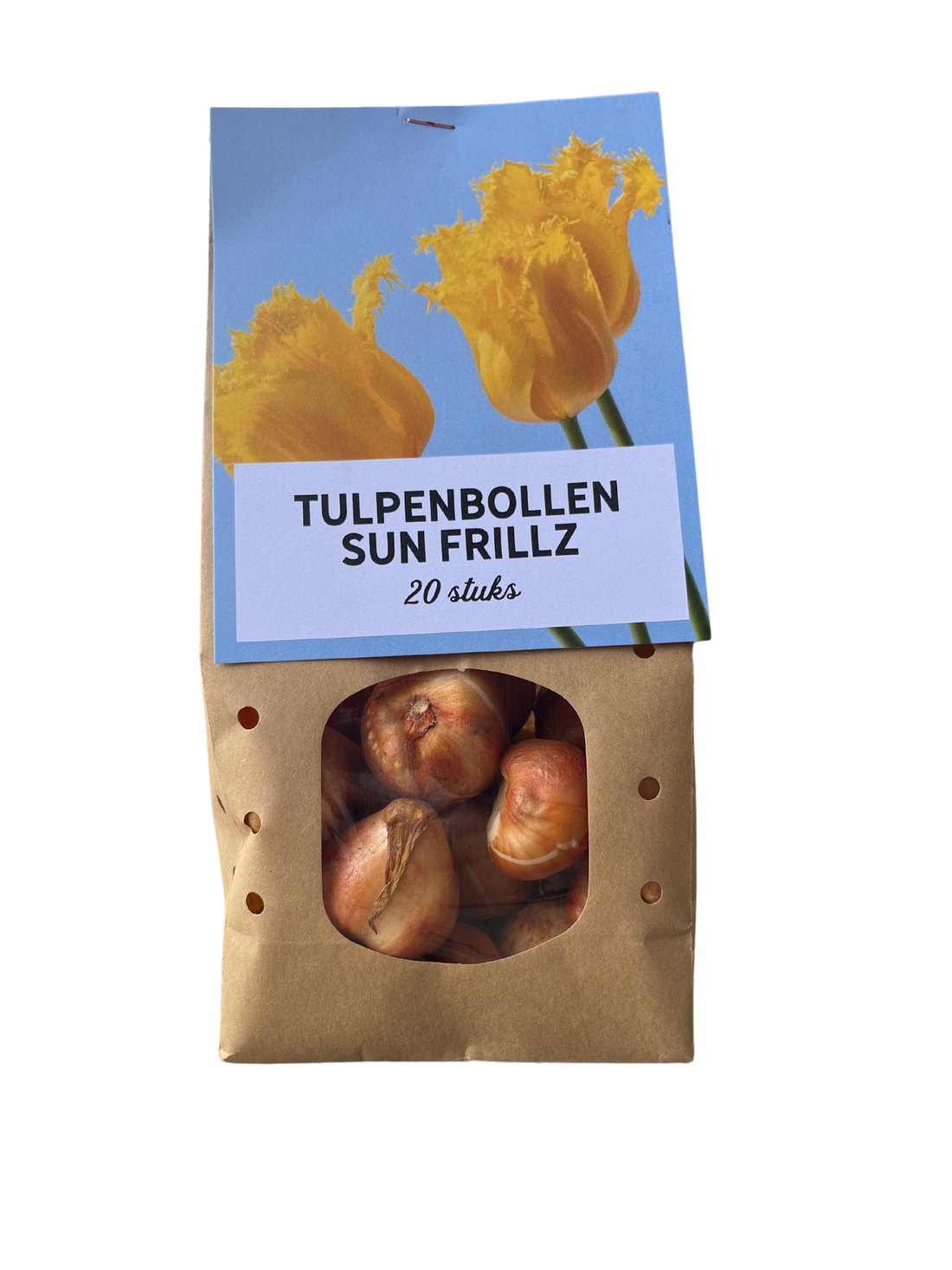 Sun Frillz Tulpen – 20 Zwiebeln | Gelbe Fransen-Tulpen
