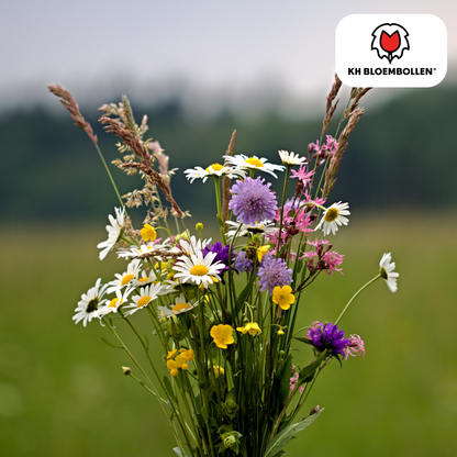 Wildblumensamenmischung – 100 g | Bienenfreundlich &amp; heimisch
