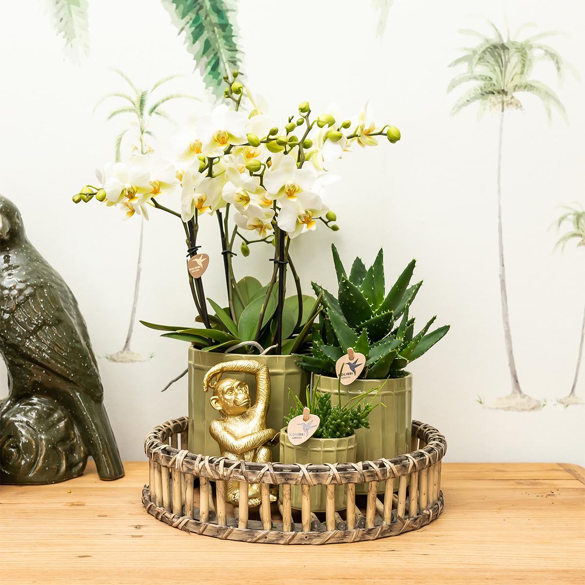 Ornament - Decoration sculpture Sitting Monkey - Gold