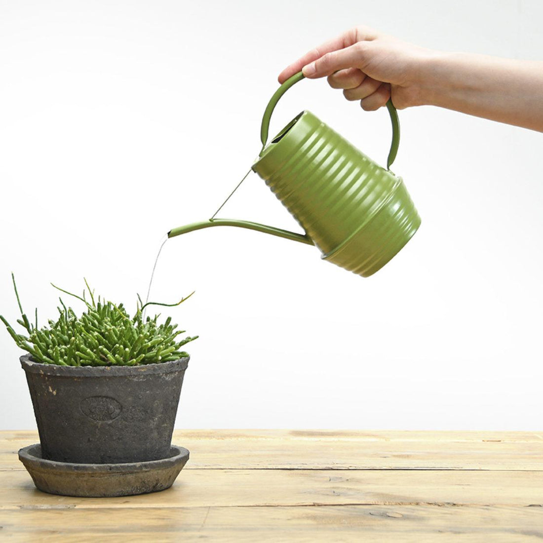 Blumengießkanne Zink 1 Liter Grün | Handliche Gießkanne für Zimmerpflanzen &amp; Balkon