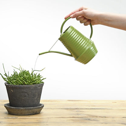 Blumengießkanne Zink 1 Liter Grün | Handliche Gießkanne für Zimmerpflanzen &amp; Balkon