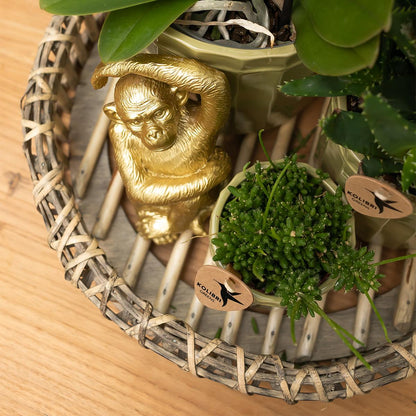 Ornament - Decoration sculpture Sitting Monkey - Gold