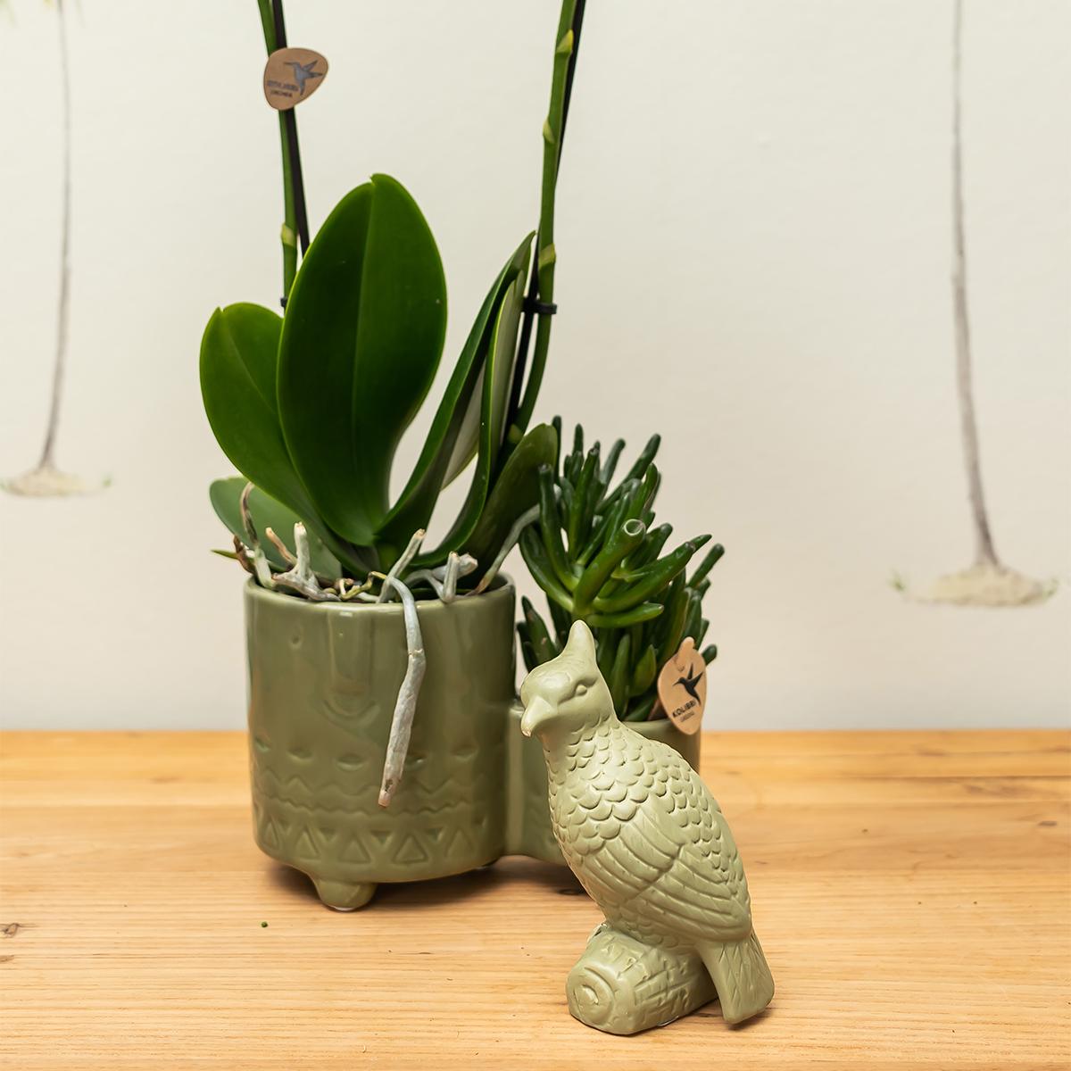 Ornament - Deko-Skulptur Kakadu - Green
