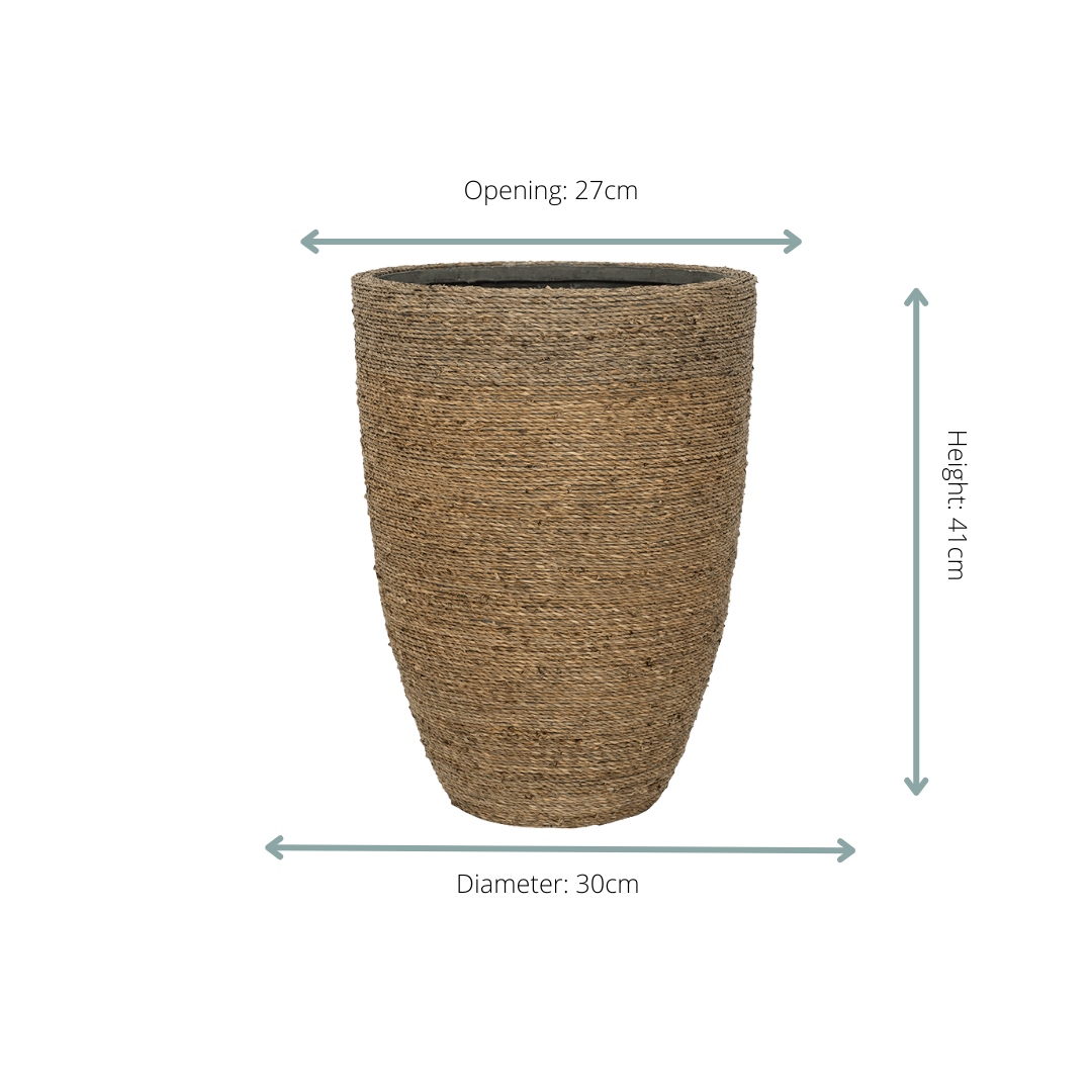 Pot Ben Straw Grass in verschiedenen Größen