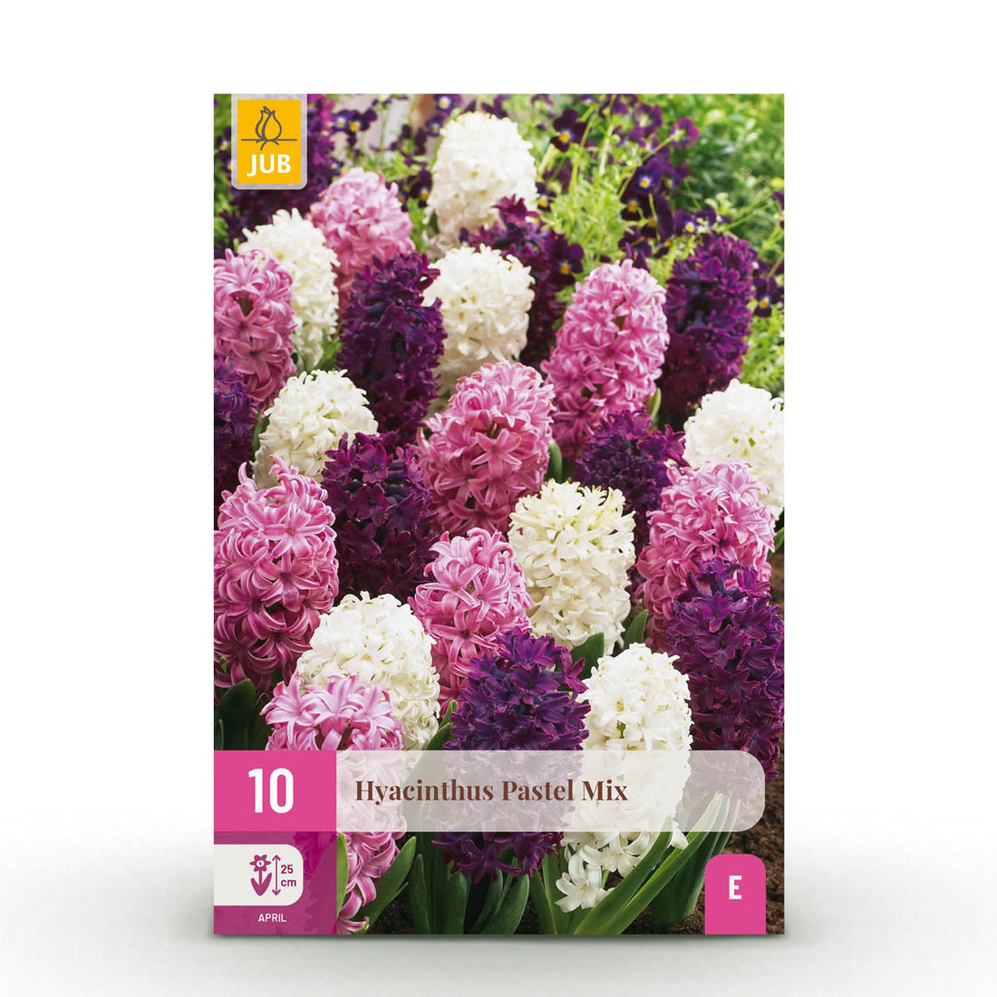 Blumenzwiebeln Hyacinth Pastel Mix | 10 Stück Pastellfarben – Zwiebelgröße 14/15 – XXL Pack