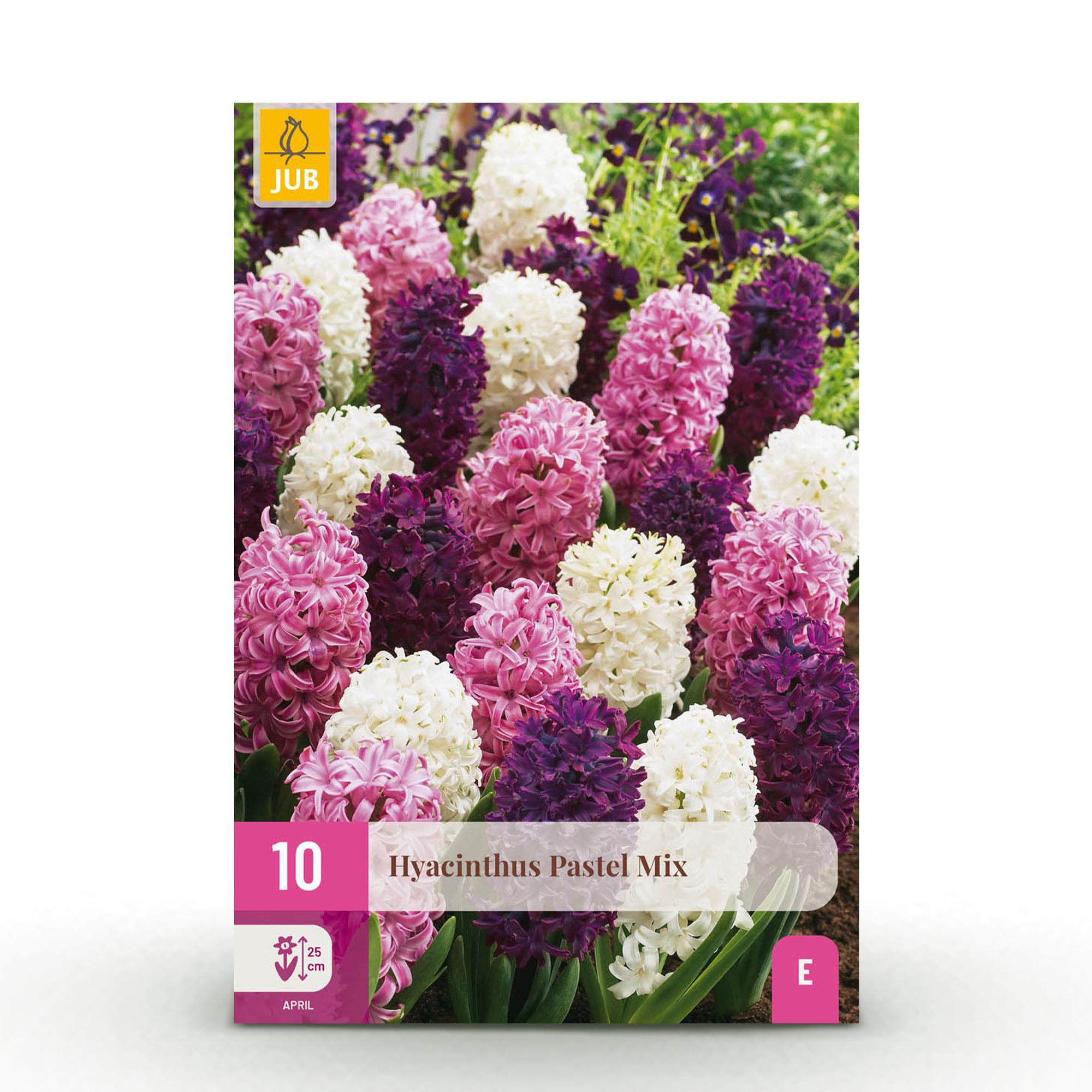 Blumenzwiebeln Hyacinth Pastel Mix | 10 Stück Pastellfarben – Zwiebelgröße 14/15 – XXL Pack