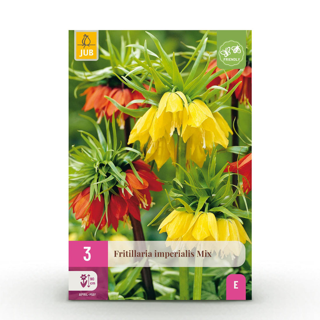 Blumenzwiebeln Fritillaria Imperialis Mix | 3 Stück Gelb &amp; Orange – Zwiebelgröße 18/20 – XXL Pack