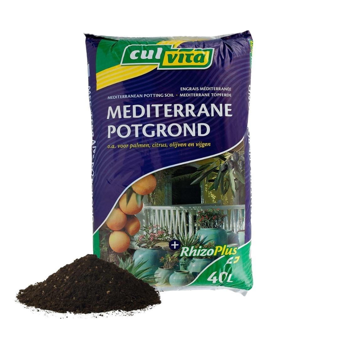 Mediterrane Blumenerde 40 Liter inklusive RhizoPlus – Spezialerde für Olivenbäume, Zitruspflanzen &amp; Palmen