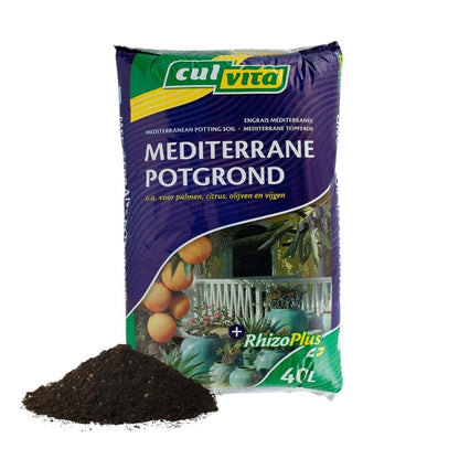 Mediterrane Blumenerde 40 Liter inklusive RhizoPlus – Spezialerde für Olivenbäume, Zitruspflanzen &amp; Palmen