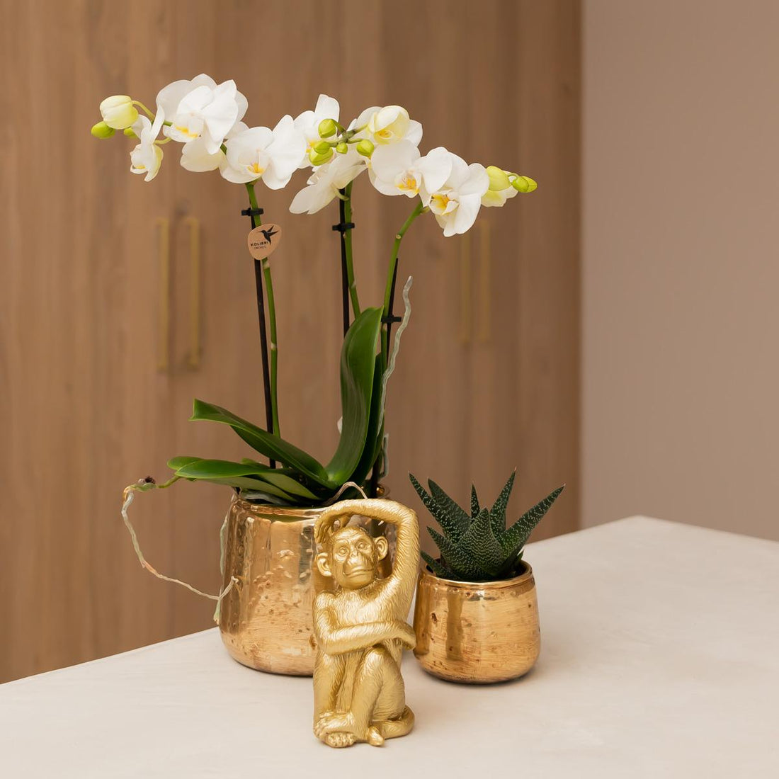Luxuriöser Blumentopf - Goldener Keramiktopf - Ø6cm