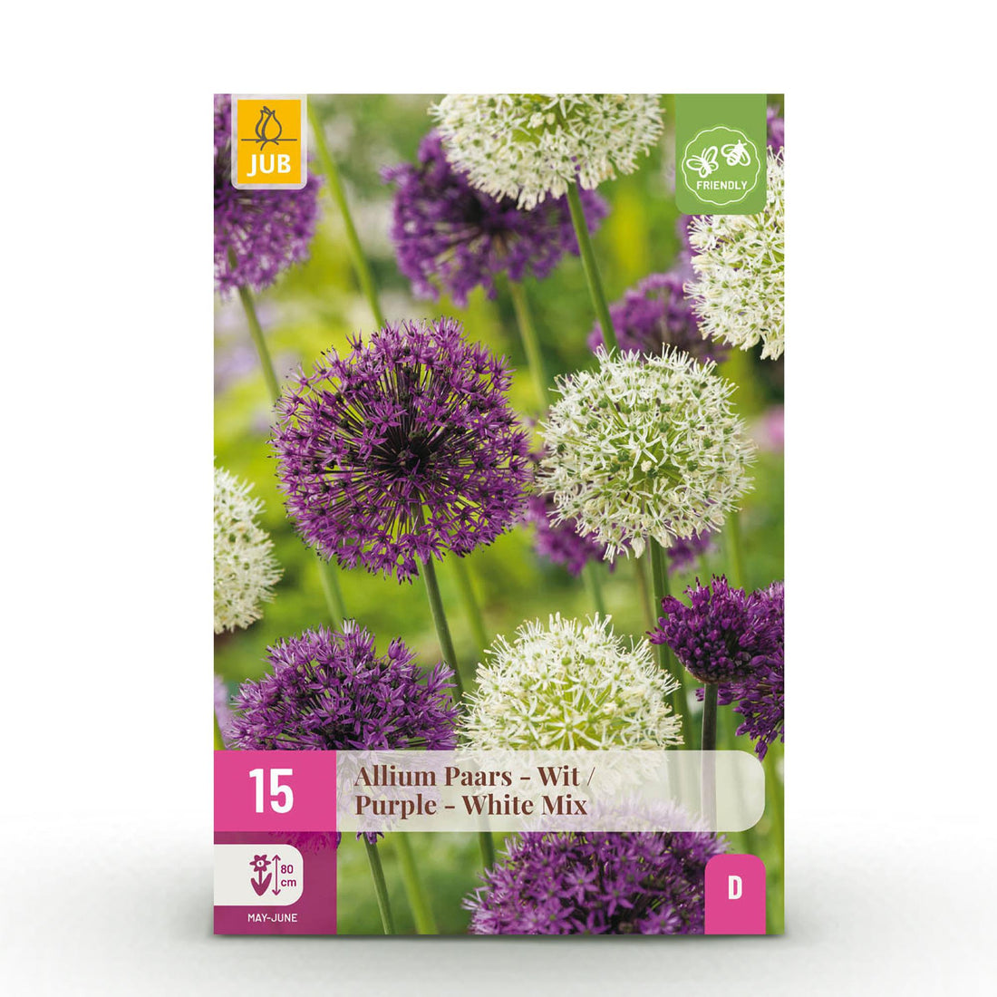 Blumenzwiebeln Allium Purple White Mix | 15 Stück Lila &amp; Weiß – Zwiebelgröße 10/12 – XXL Pack