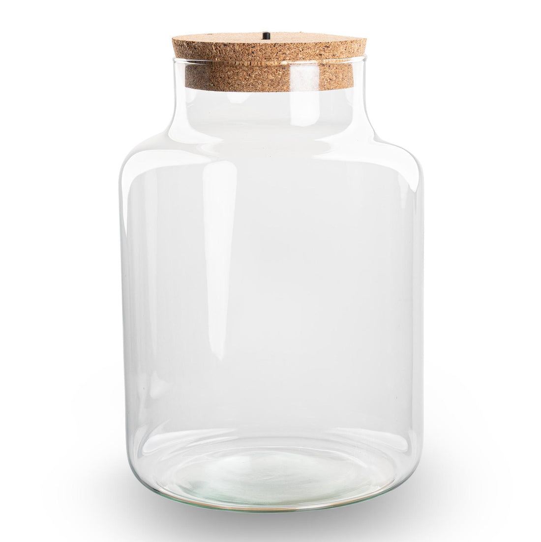 Kleine milchige Terrarienflasche mit Korken - Geschlossenes großes Terrarium ↑ 24,5 cm