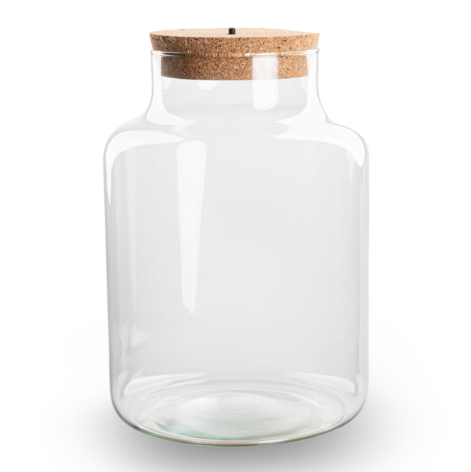 Kleine milchige Terrarienflasche mit Korken - Geschlossenes großes Terrarium ↑ 24,5 cm