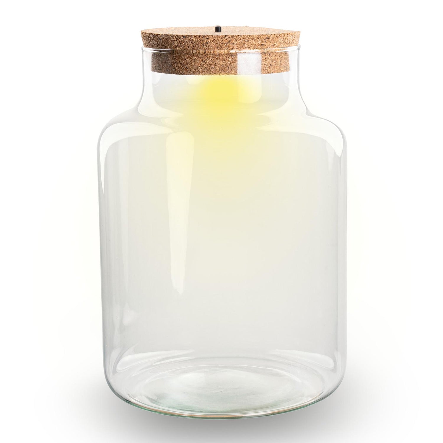Kleine milchige Terrarienflasche mit Korken - Geschlossenes großes Terrarium ↑ 24,5 cm