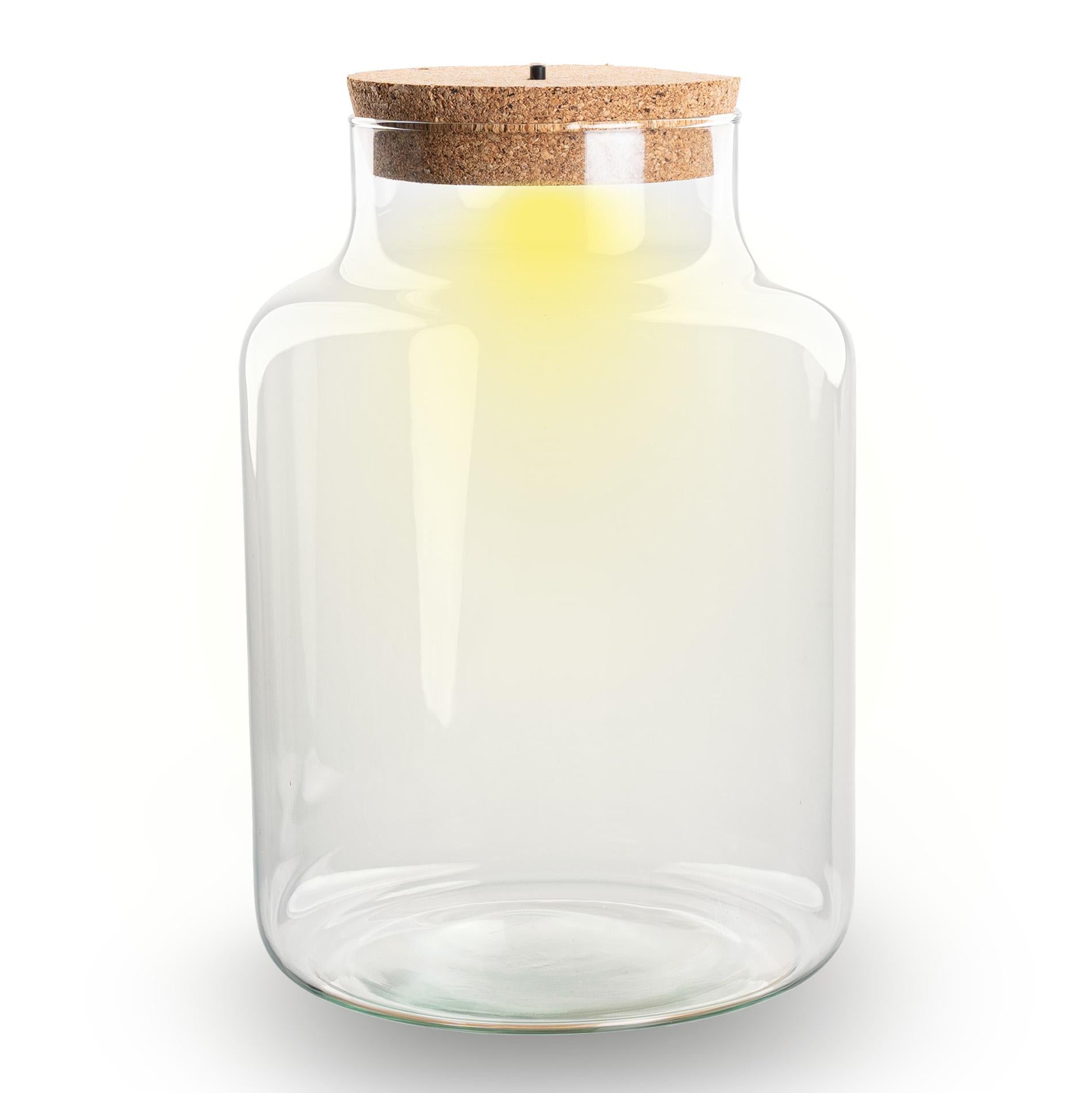 Kleine milchige Terrarienflasche mit Korken - Geschlossenes großes Terrarium ↑ 24,5 cm