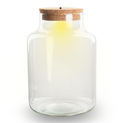 Kleine milchige Terrarienflasche mit Korken - Geschlossenes großes Terrarium ↑ 24,5 cm