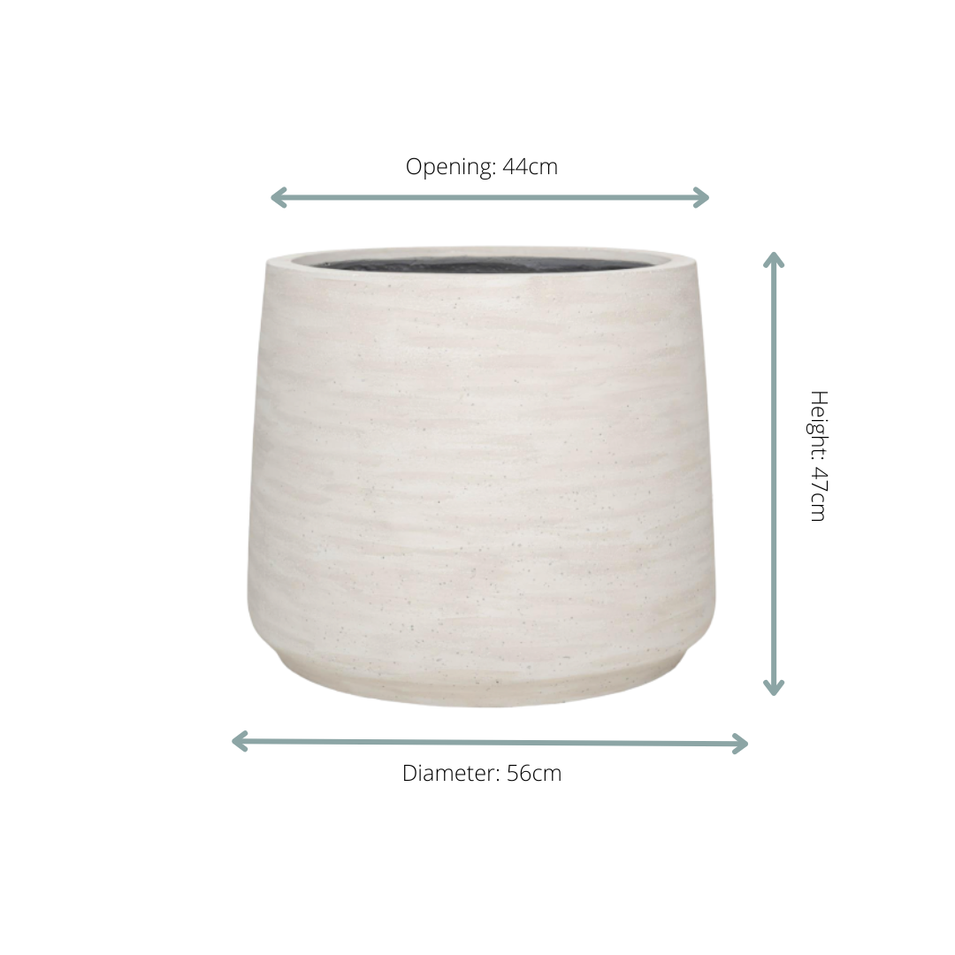 Jumbo Patt Ivory Washed – Pflanzkübel D56 × H47 für Indoor &amp; Outdoor