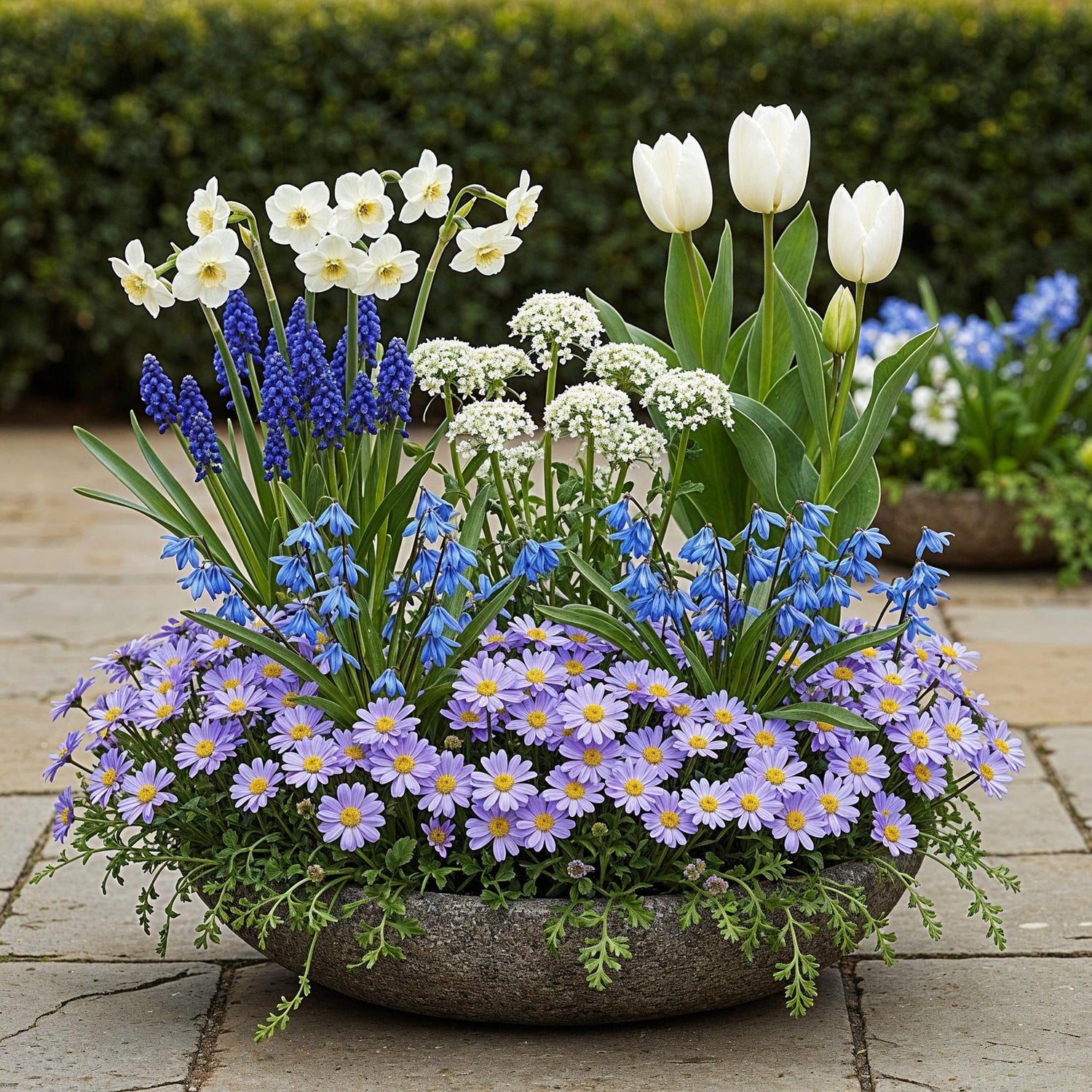 Blumenzwiebeln Bulb Garden Blue Mix | 125 Stück Blautöne – Geschenkverpackung