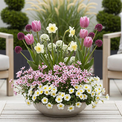 Blumenzwiebeln Bulb Garden Pink Mix | 125 Stück Rosa Blüten – Geschenkverpackung