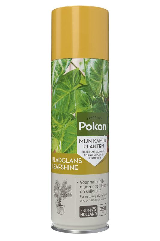 Pokon Blattglanz – 250 ml – Glanzspray für Zimmerpflanzenblätter
