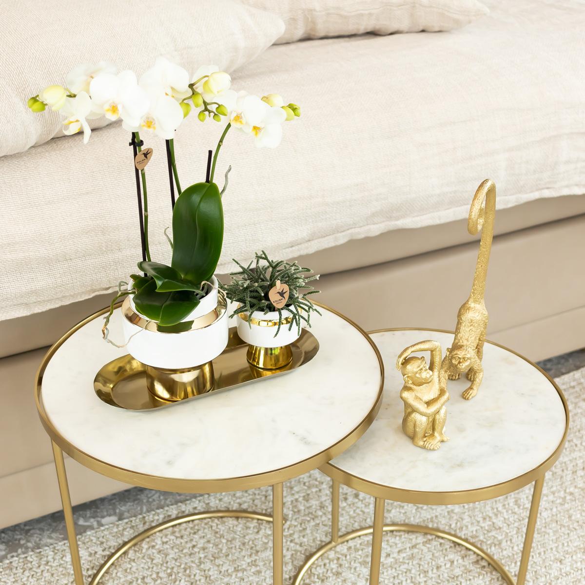 Ornament - Decoration sculpture Sitting Monkey - Gold