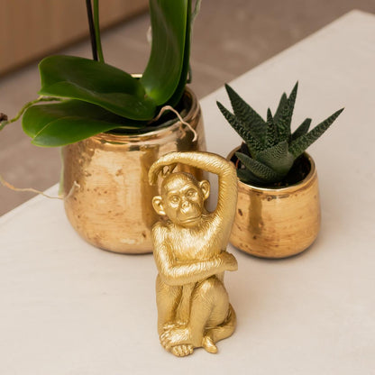 Luxuriöser Blumentopf - Goldener Keramiktopf - Ø6cm