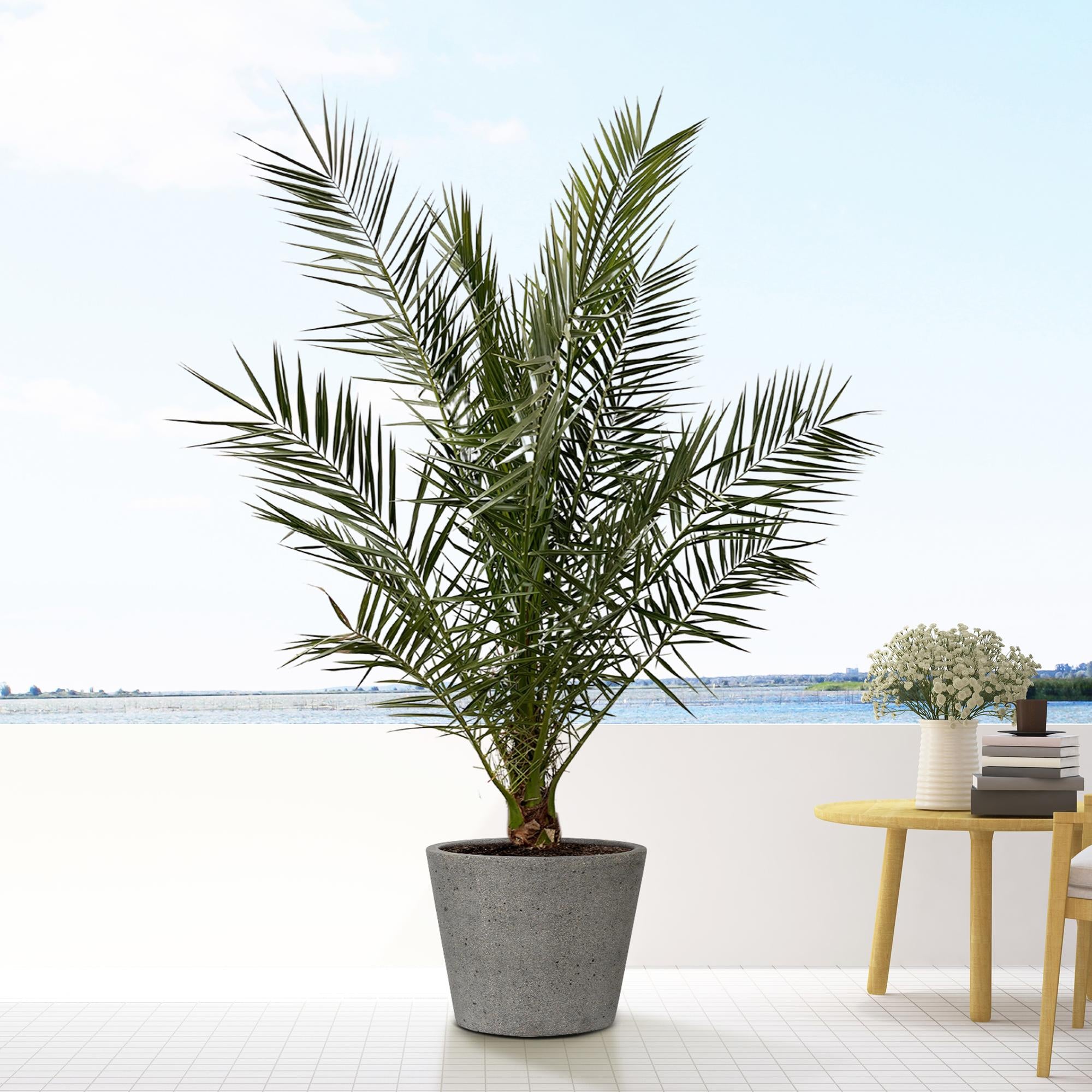 Bucket Laterite Grey - M - 50x40