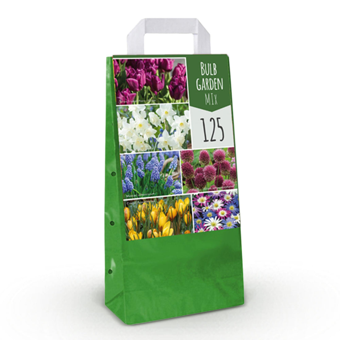 Blumenzwiebeln Bulb Garden Mix | 125 Stück Sorten- &amp; Farbenmix – Geschenkverpackung