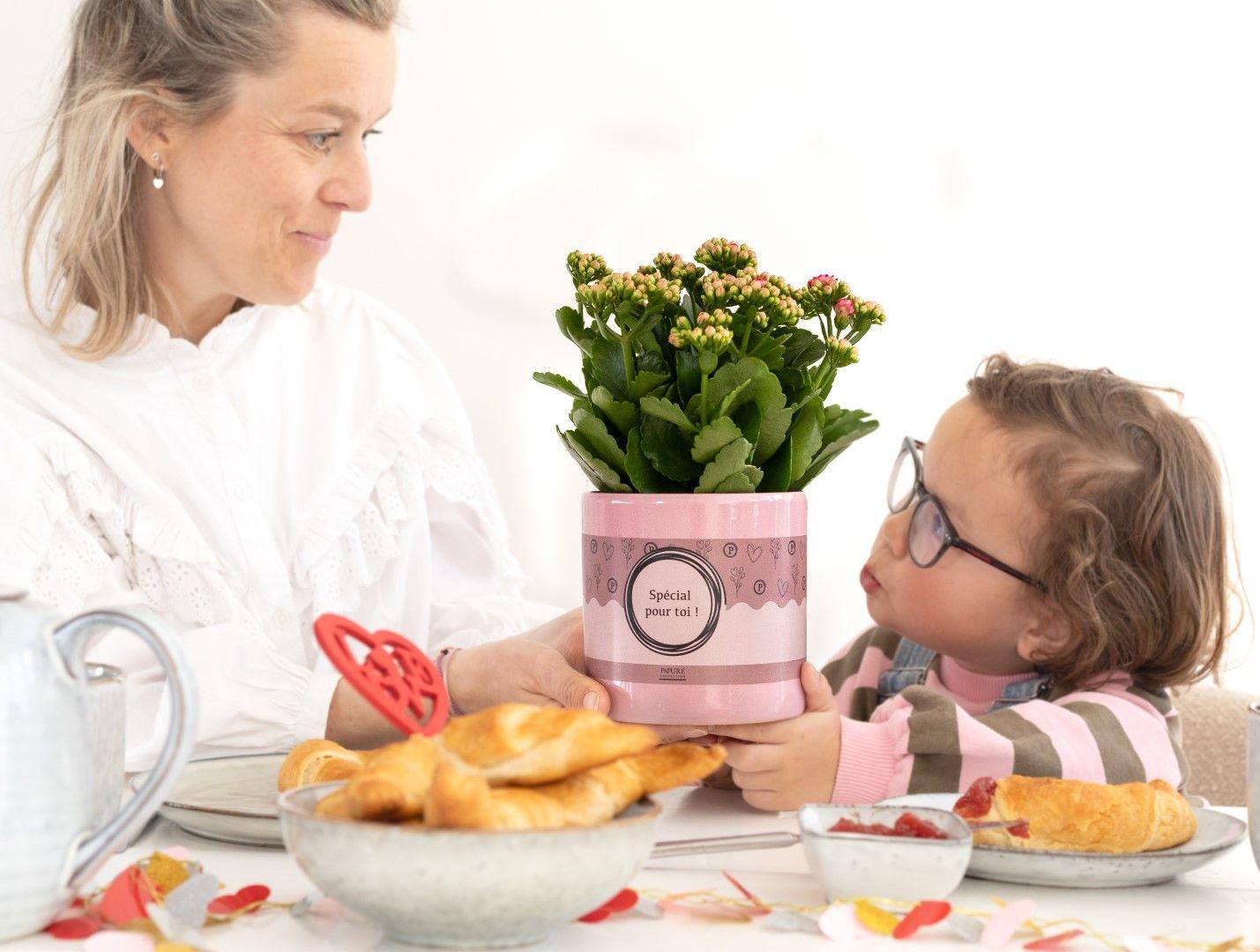 Kalanchoe Pink In P&amp;PURE "SPECIAL POUR TOI" Verpakking - Ø12cm - ↕27cm