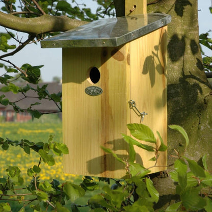 Beobachtungsnistkasten | Vogelhaus mit Sichtklappe – Vögel &amp; Gartentiere beobachten