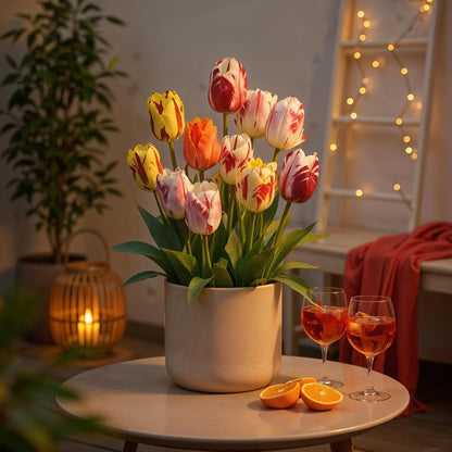 Blumenzwiebeln Tulp Flaming Beauty Mix | 15 Stück Bunte Farben – Zwiebelgröße 11/12 – XXL Pack