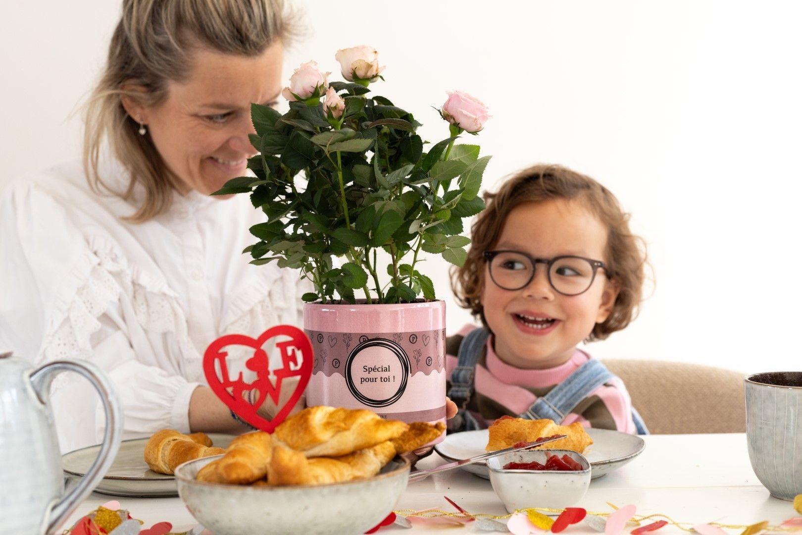 Rose Light Pink In P&amp;PURE "SPECIAL POUR TOI" Verpackung - Ø12cm - ↕30cm